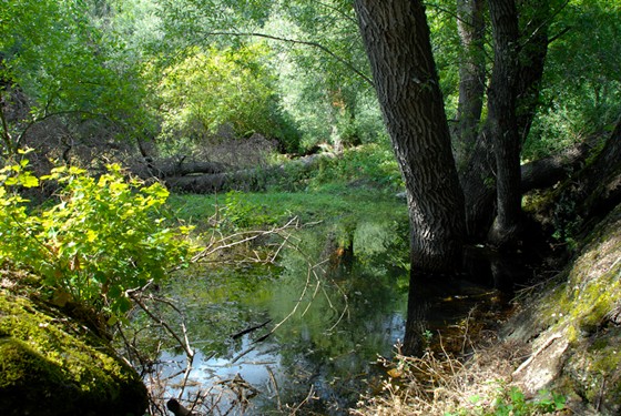 Пейзаж: Чаклунство Димерджі