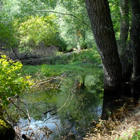Пейзаж: Чаклунство Димерджі